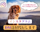 インスタグラムのDM200通を送付代行いたします 重要なダイレクトメッセージを手作業でユーザー様にお届けします イメージ1