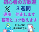 ３週間！ツイッターX伴走します 初心者の方！まずは基礎とコツを学んでください イメージ1