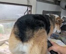 店舗なしで月収UP！店舗なしでの独立相談に乗ります 週休3日で稼ぐ仕組み！移動サロンの集客と運営術を伝授します イメージ8