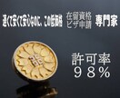 永住(VISA)許可申請の必要な書類を作成します 他の在留資格も対応可能になります。 イメージ1
