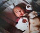 海外で子育てしているパパ、ママの子育て相談のります 小児科看護師経験あり、ドイツ在住経験あり。 イメージ1