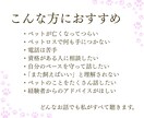 ペットロス専門☆愛するペットのお話、すべて聴きます ペットロス経験者・現役カウンセラーの私が、すべて受け入れます イメージ5