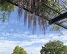 普通のつまらない日常を面白くします 煮詰まるブログ。無反応ライン。見方変える。そしたら変わる。 イメージ1