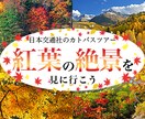 オリジナルバナー作成致します バナー広告で売上を上げてみませんか？ イメージ3