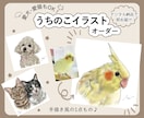 ペットの似顔絵イラスト作成します 手描き感あるリアル調イラスト/愛犬、愛猫、愛鳥さんOK イメージ1