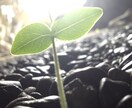 タロットで、もやもやを言葉にして心を整えます いまの自分を知ることで、未来がやわらかく動き出します。 イメージ1
