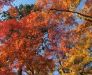 統合失調症のご家族の皆さん、お話お聞きします 学生時代にお子さんが発症したご家族を励ましたいです イメージ2