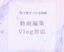 Instagram/TikTokショート動画ます SNSで保存されやすい、雰囲気のある映像に仕上げます。 イメージ1