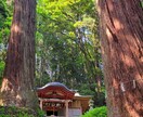 占い師・ライトワーカーなど同業者様☆相談に乗ります 練習相手、仕事の悩み、分かち合いたい話など何でもOK☆ イメージ4