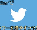 Twitterのフォロワーを増やすコツ教えます SNS合計8000人フォロワーがいる人が教えます！ イメージ1
