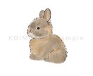 お写真を元にゆるふわな似顔絵を描きます SNSアイコン/待受/商用二次利用/グッズ作成 イメージ3