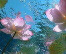 あなたの悩みに寄り添い、解決を一緒に深掘りします 魂の霊視鑑定士あなたのこころに寄り添います。 イメージ1