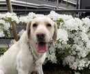 あなたのイライラ引き取ります 心のモヤモヤを吐き出す事ってすごく大事な事です イメージ1