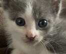 どなたでも相談乗ります 僕のスキマ時間貴方の為に・・・ イメージ1