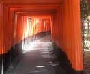 私とお話ししてみませんか？否定なしでお聞きします 自慢話し、嬉しかった事、悲しかった事、お聞きします‼︎ イメージ1
