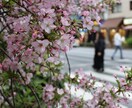グチ、伺います 誰にも言えないグチを言ってラクになりましょう イメージ1