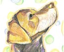 色鉛筆で大切なペットのイラストを描きます ペットとの大切な思い出や記念をイラストとして残しませんか？ イメージ1