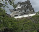 自分自身で撮影した画像になります 自分自身が撮った写真販売いたします！！！ イメージ5