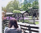複雑な関係、不倫、略奪聞きます 少しでも、誰かに話したい…！！ イメージ1