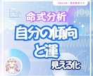 四柱推命を統計的に分析｜運の流れを見える化します “なぜこうなるのか”が分かる分析型の命式レポートを作成します イメージ1