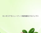 魅力を伝えるパンフレットデザイン承ります 会社学校イベントに最適！わかりやすく魅力を引き出すのデザイン イメージ4