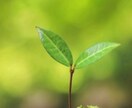 日本にいる　がいこくのひとに　日本語を　おしえます はじめに このトライアルレッスンを うけて ください イメージ1