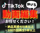 バズる！TikTok動画を高品質で制作いたします TikTokで100万回再生複数達成した実績あり！ イメージ1