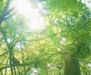 何でも聞きます、何の話相手でもします 何でも聞きます！！愚痴でも相談でも^ ^ イメージ1