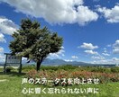 声の持つ特性から恋愛や対人関係の悩み判断します 声色から恋愛や対人関係を読み、補正し声の持つ力を高めます❗️ イメージ3