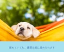 採用担当者の目線で志望動機・自己PRを作ります 採用選考200件超の人事×心の専門家が担当します イメージ8