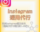 インスタ運用代行致します 現役インフルエンサーによるいいね周り等運用代行 イメージ1