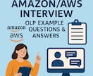 資料のみ：Amazon/AWS想定質問集提供します 面接官の各OLPで見るポイント及び質問集 イメージ1