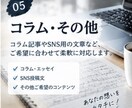Web記事・コンテンツを丁寧に作成します 読者に伝わる、読みやすい記事を制作します イメージ6