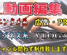 YouTube/広告/PR動画の編集承ります 「こんな動画を作って欲しい」お任せ下さい！ イメージ2