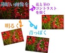画像の色補正をします SNSやメルカリの画像の色補正。パターンを3つお出しします。 イメージ1