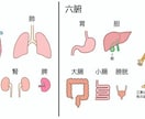 サブスクで1か月間、毎朝晩、気の遠隔施術を行います 月約６０回、お困りの傷病に写真を使った遠隔施術を行います。 イメージ4