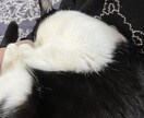 暇な方や話し相手が欲しい方、話聞きます 愚痴や誰にも話せない事でも話して楽になりましょう！ イメージ2