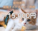 愛する家族（犬猫他）が元気になるよう遠隔施術します 遠隔オステオパシーで次元を超えて活き活きとした表情にします イメージ1