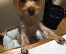 宿題や勉強サポートします 1人で集中できない方をサポートします。宿題や受験勉強など イメージ1