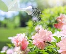 体調不良のあなたの心が軽くなるよう、お話を聞きます カウンセラー歴４年／あなたの好きなお話で楽しい時間をご一緒に イメージ4