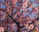 話ききます 話ききます他人にだから話せることもありますよね イメージ1
