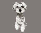 ミニチュアシュナウザーの似顔絵を描きます ミニシュナと暮らす犬絵師が、写真から似顔絵を描きます イメージ6