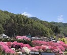 誰にも言えないお悩み、愚痴、なんでも聞きます 癒しの京ことばであなたのお悩みに寄り添います♡ イメージ3