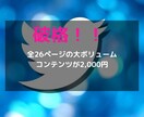魅力的なツイート作成コンテンツを提供します １ツイートで３０００フォロワーを獲得した方法を伝授します イメージ7