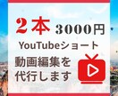YouTubeショートの動画編集を代行いたします 初回 : 1本1000円！！ 1本だけの方も承ります！！ イメージ2