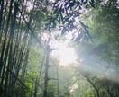 風景の素材や映像を撮影します 撮影内容については詳細を相談できます。 イメージ1