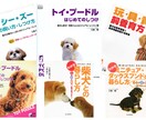 愛犬の困った！ミッシーの総合診療科で解決目指します 新規の相談者向け／【診断書】発行致します イメージ2