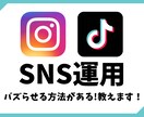 SNSをバズらせる方法教えます SNSをバズらせる為の方法を教えます イメージ1