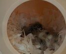 愚痴聞き話し相手になりますます なんの愚痴でもきくのでお待ちしてます！！ イメージ1