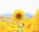60分チャットで、仲良くなります ゆっくり60分♥なんでもおはなししましょ(*^^*) イメージ1